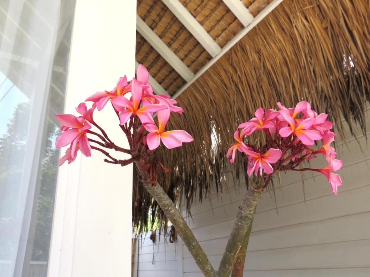 Love Coconut Bungalows Gili Trawangan Buitenkant foto